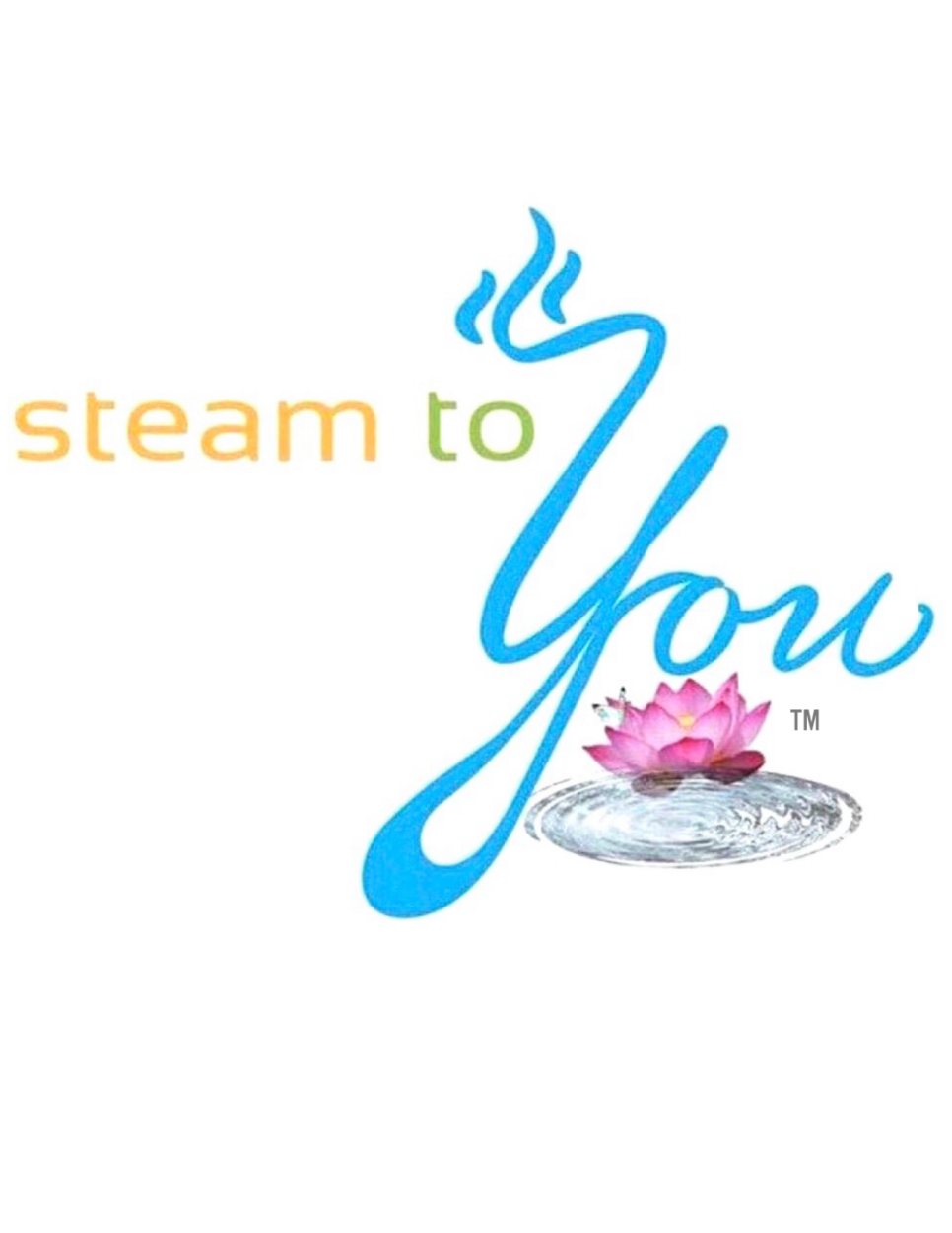 Steam To You Logo